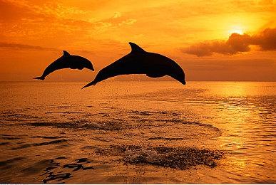 《福尔摩斯：觉醒重制版》游戏介绍 明年2月发售